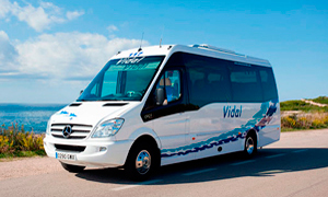 minibus despedida de soltero en javea